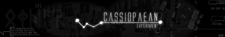 The Cassiopaean Experiment